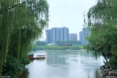 Xing Qing Palace Park 兴庆宫