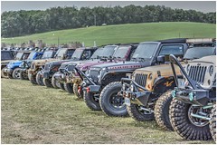 Jeeps & Willys