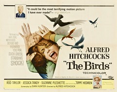 The Birds 1963. Directed By Alfred Hitchcock.