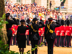 Trooping the Colour, 2019 