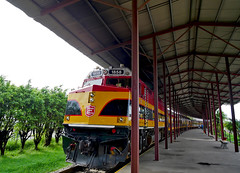 Rail, Panamá & Cuba