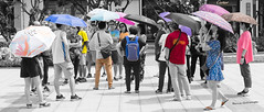 Parapluies et Parasols
