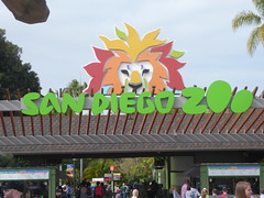 San Diego Zoo Feb 2019