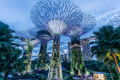 2019 Gardens By The Bay