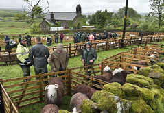 Stainmore Sheep Show, Cumbria. The very wet show day, 2019