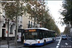 Noge Cittour 12 - CFT (Corporation Française de Transports) (Vectalia) / CTPM (Compagnie de Transports Perpignan Méditerranée) n°31