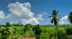 2019 Sri Lanka