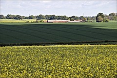 East Yorkshire countryside around Skidby 23 May 2019
