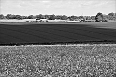 East Yorkshire countryside around Skidby 23 May 2019 in Monochrome