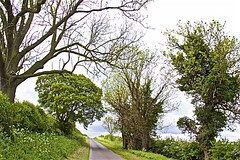 Dale Gate Road towards Bishop Burton village 27 May 2019