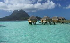 Polynesia 2003