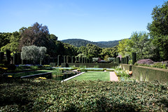 Filoli Estate Gardens