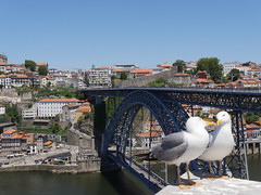 Portugal 2019 05 Porto Oporto