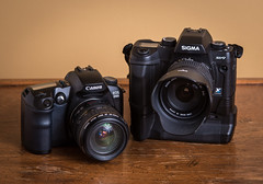 Canon EOS D60 (2002) / Sigma SD-9 (2002)