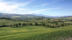 Val D'Orcia 2019