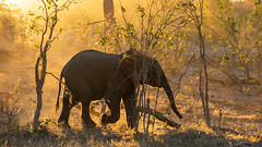 African Photography Tours