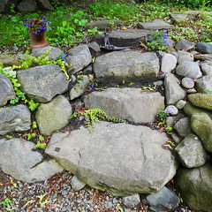 Rock Wall Garden 