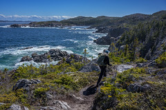Newfoundland and Nova Scotia minus lichens (mostly)