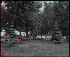 3 D. Stereo Photography!