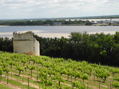 Gironde (33)