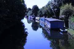 Grand Union Canal Cowley