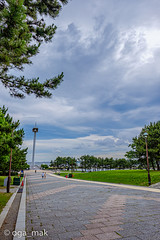 2019-06-27 葛西臨海公園