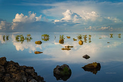 Bohol Island, Philippines 