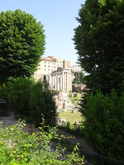 Italia 2019 - 07 June - Rome - Colosseum & Forum Romanum