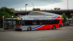 WMATA Metrobus 2019 New Flyer Xcelsior XN40 #3243