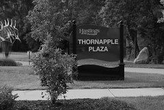 Thornapple Plaza