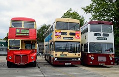 Reading Buses Family Fun Open Day 2019
