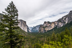 2019 June Yosemite