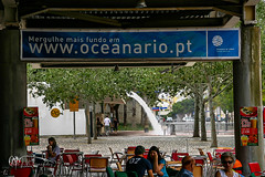 Acuario Lisboa 13-07-07