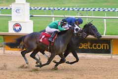 2018-11-02 (12) r6 Jorge Ruiz on #4 Federal Walk on the inside prevails over angel Suarez on #1 Brahms Romp on the outside