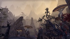 Elder Scrolls Online - Stonefalls