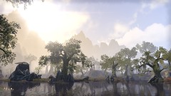 Elder Scrolls Online - Deshaan