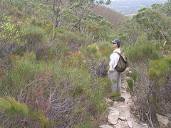 black hill conservation park - march 2004