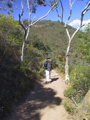 morialta conservation park - march 2004