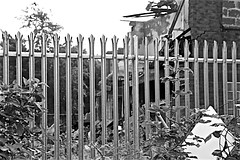 Demolition in monochrome of 20 Nidderdale Sutton Park or Bransholme