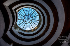 2018 Guggenheim Museum, NYC