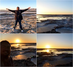 A Summer Solstice Outing To Alviso Marina County Park (6-21-2019)