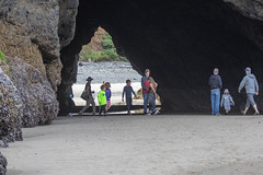 Minus Tide Caves and Cannon Beach Birds