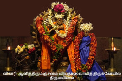 2019 ( July 06 )  Vikari Ani Thirumanjanam