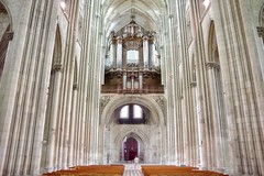 The Nave