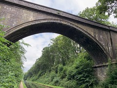 Tame Valley Canal (Witton-Rushall) 13/07/19