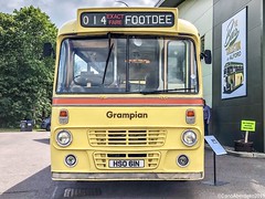 Buses Public Transport Archive