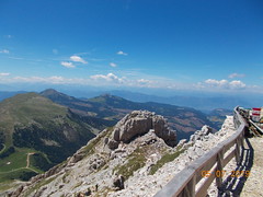 alta Val di Fiemme - Luglio 2019