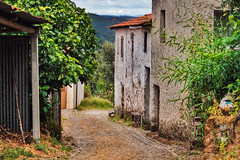 Street,  Village and Roads