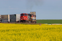 CN in Alberta