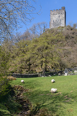 Castell Dolwyddelan